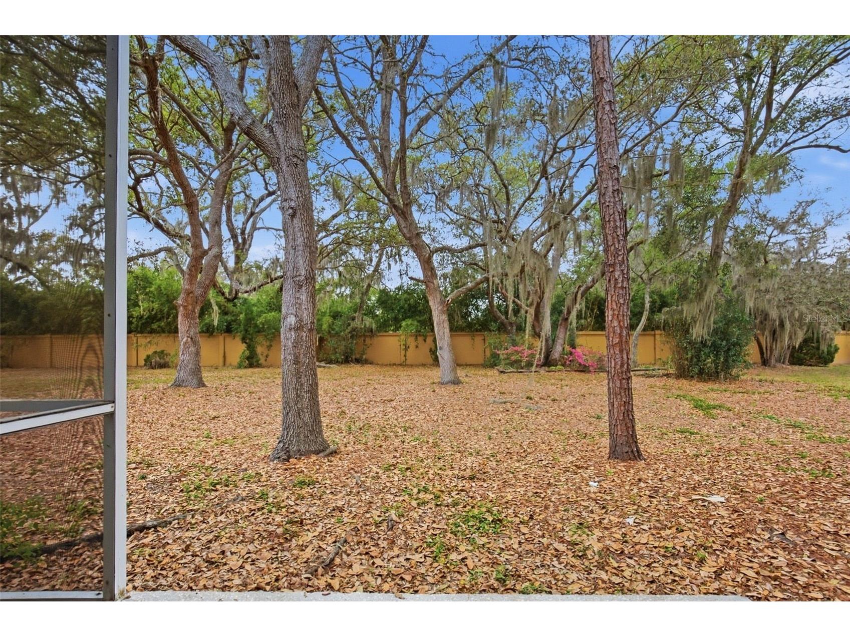 9333 Stone River Place #N/A Riverview FL 33578 O6390575 image34