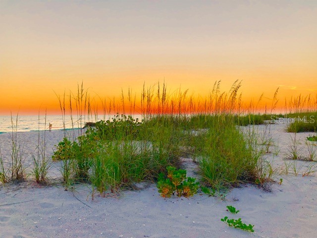 9334 Little Gasparilla Island Placida FL 33946 - GULF OF AMERICA D6145756 image3