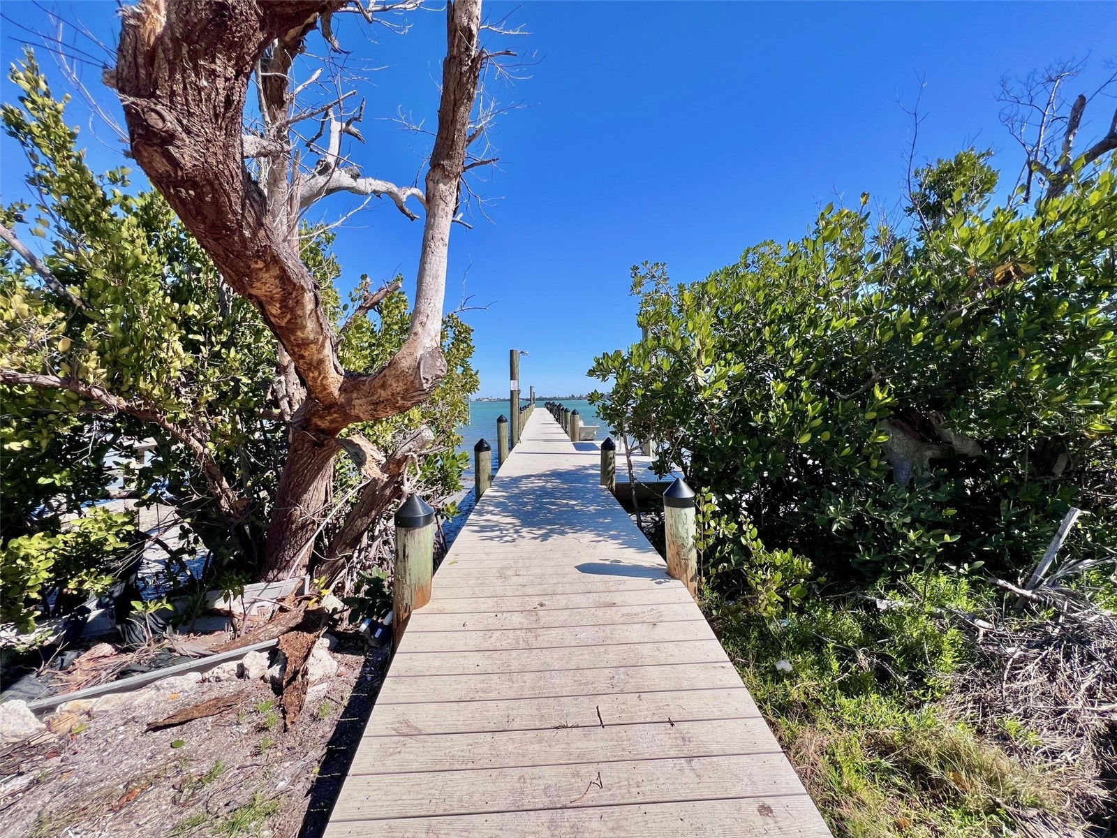 9334 Little Gasparilla Island Placida FL 33946 - GULF OF AMERICA D6145756 image53