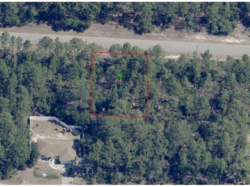 9335 N Fairy Lily Drive Dunnellon FL 34433 G5084313 image1