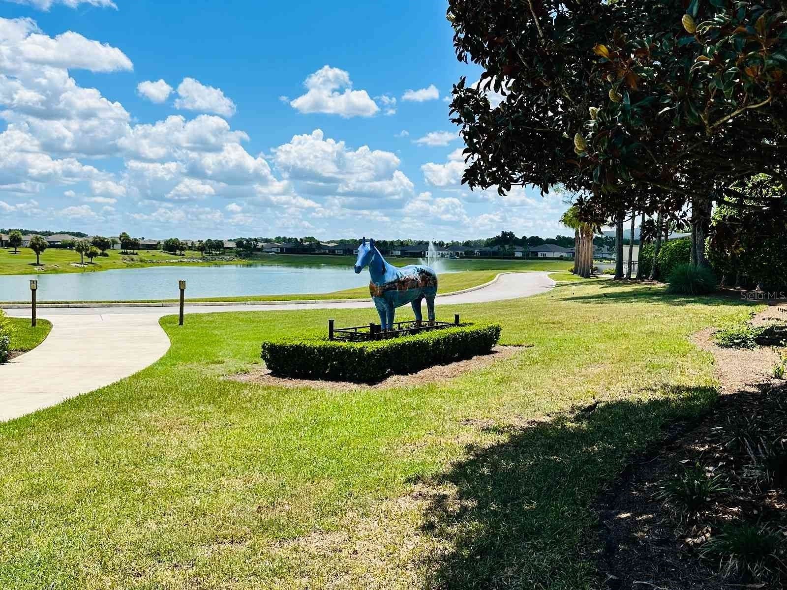 9335 SW 53rd Place Ocala FL 34481 S5153074 image54