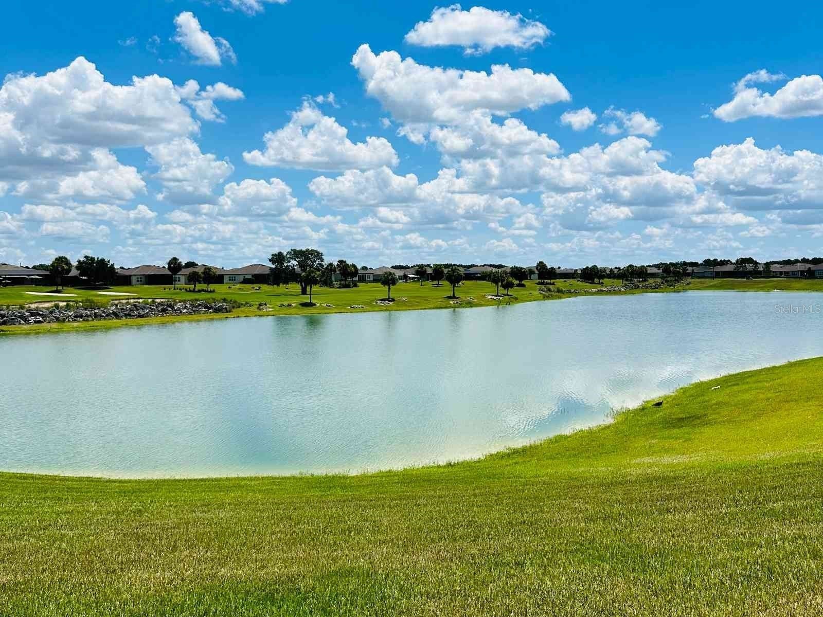 9335 SW 53rd Place Ocala FL 34481 S5153074 image55