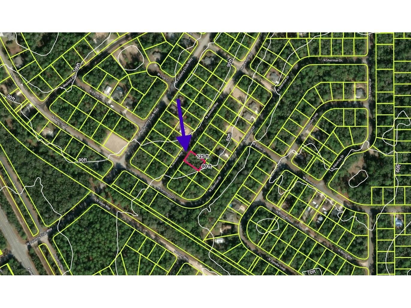 9337 N Jackson Way Citrus Springs FL 34434 S5144760 image2