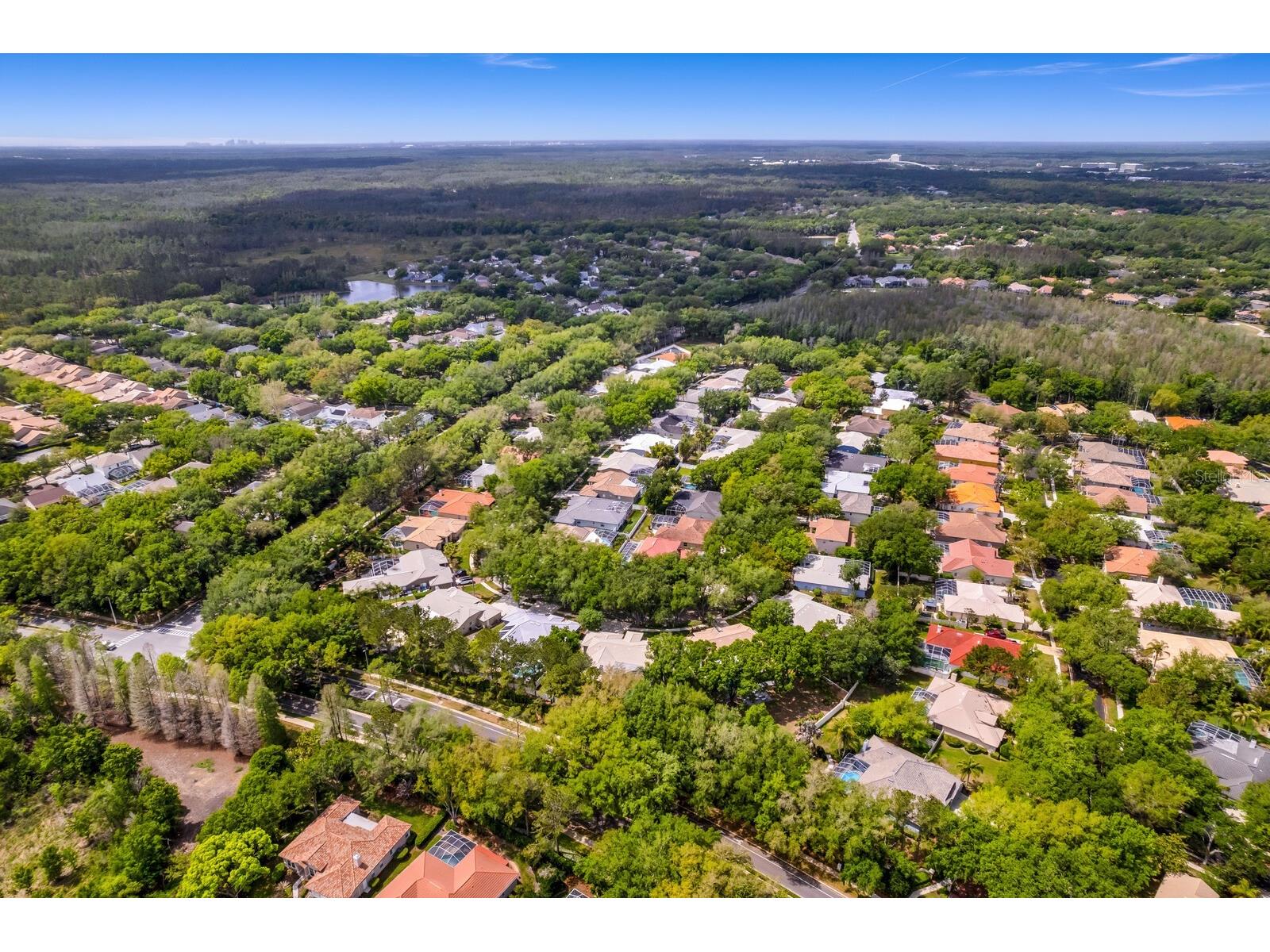 9337 Wellington Park Circle Tampa FL 33647 TB8493317 image62