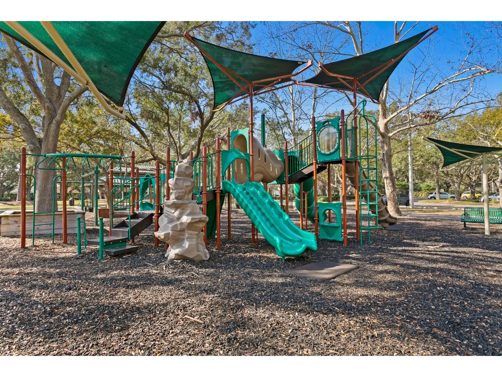 9337 Wellington Park Circle Tampa FL 33647 TB8493317 image67