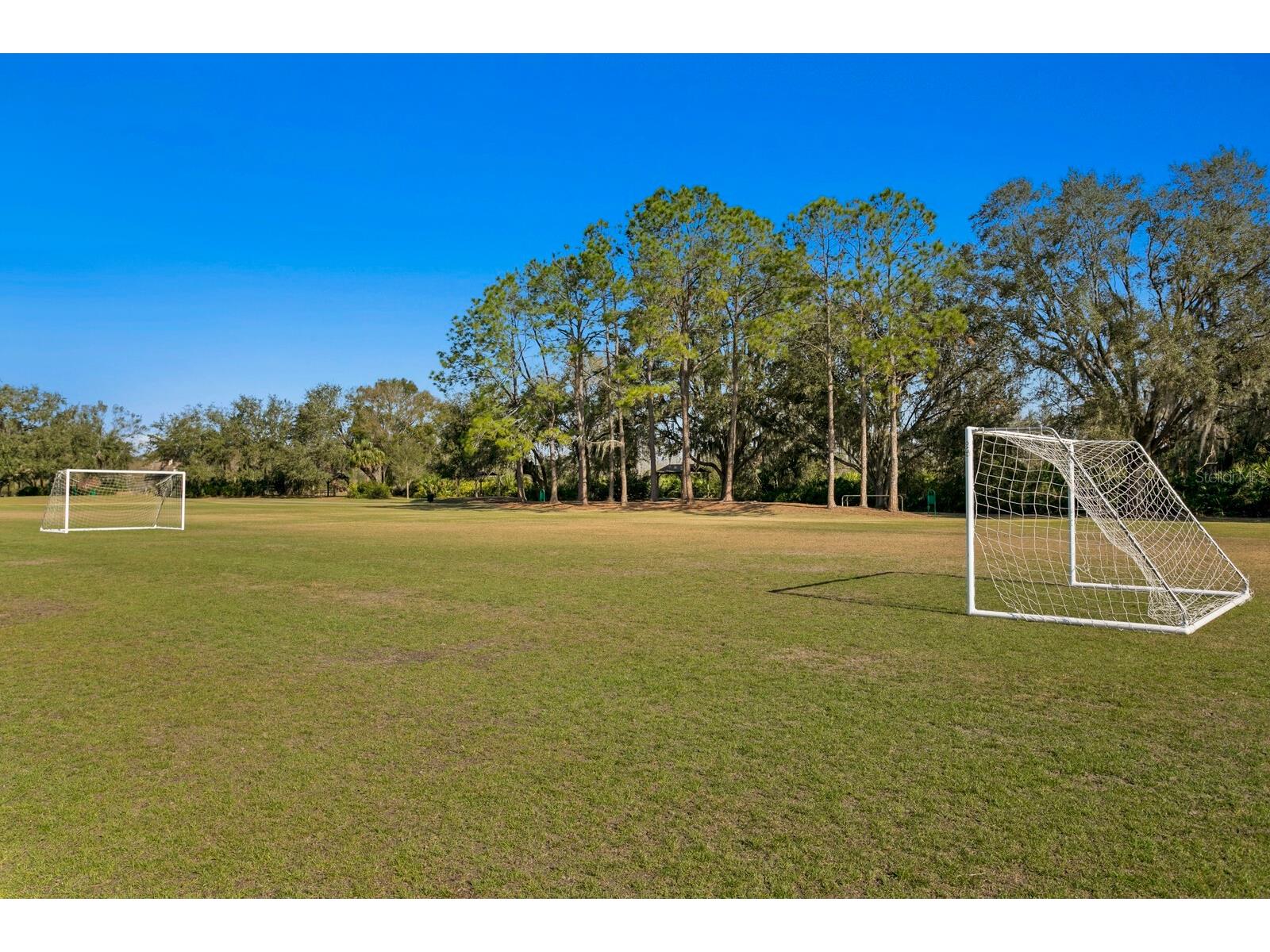 9337 Wellington Park Circle Tampa FL 33647 TB8493317 image69