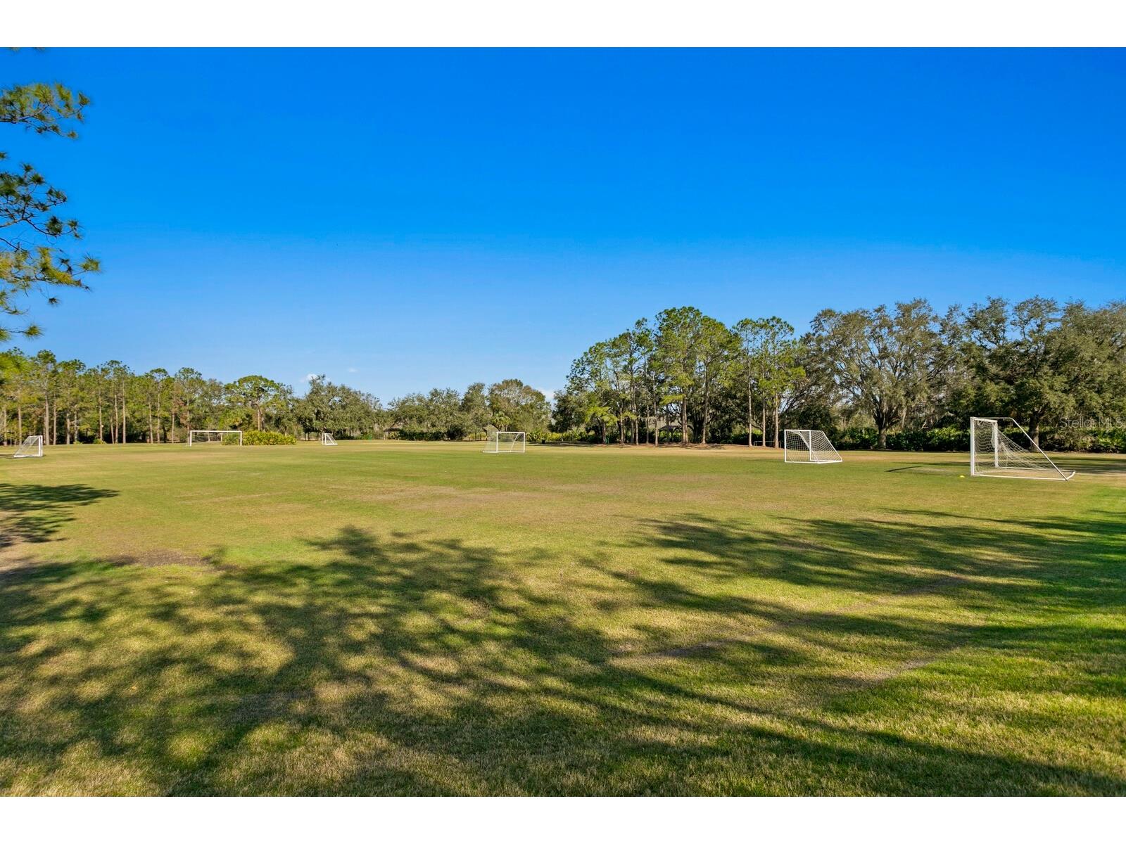 9337 Wellington Park Circle Tampa FL 33647 TB8493317 image70