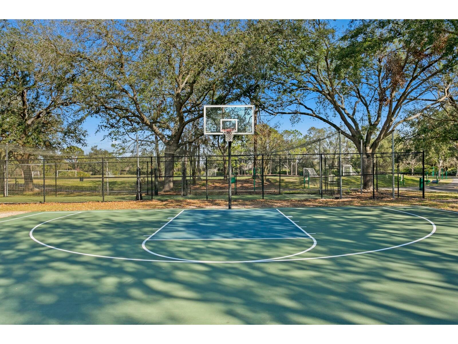 9337 Wellington Park Circle Tampa FL 33647 TB8493317 image72