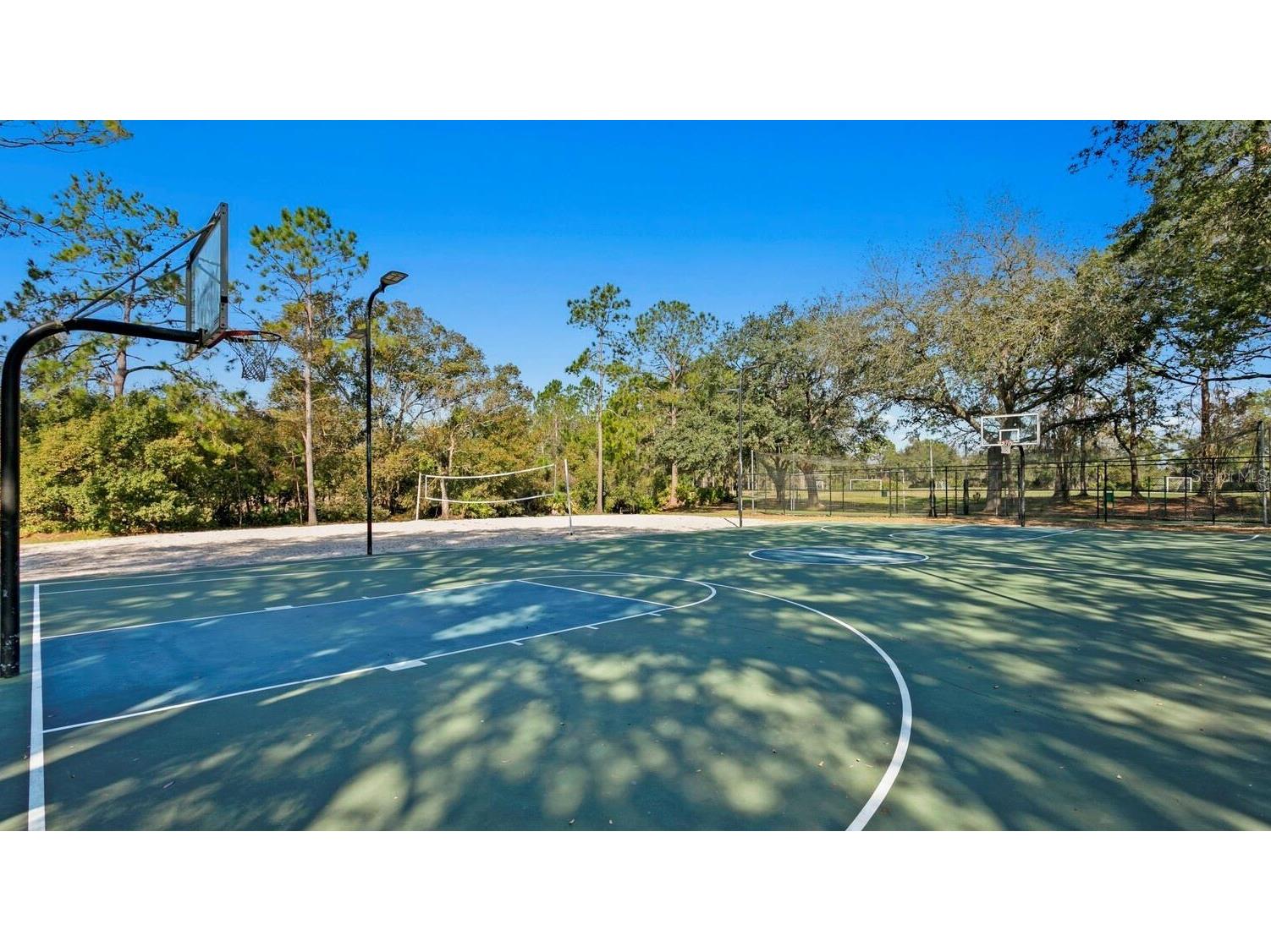 9337 Wellington Park Circle Tampa FL 33647 TB8493317 image75