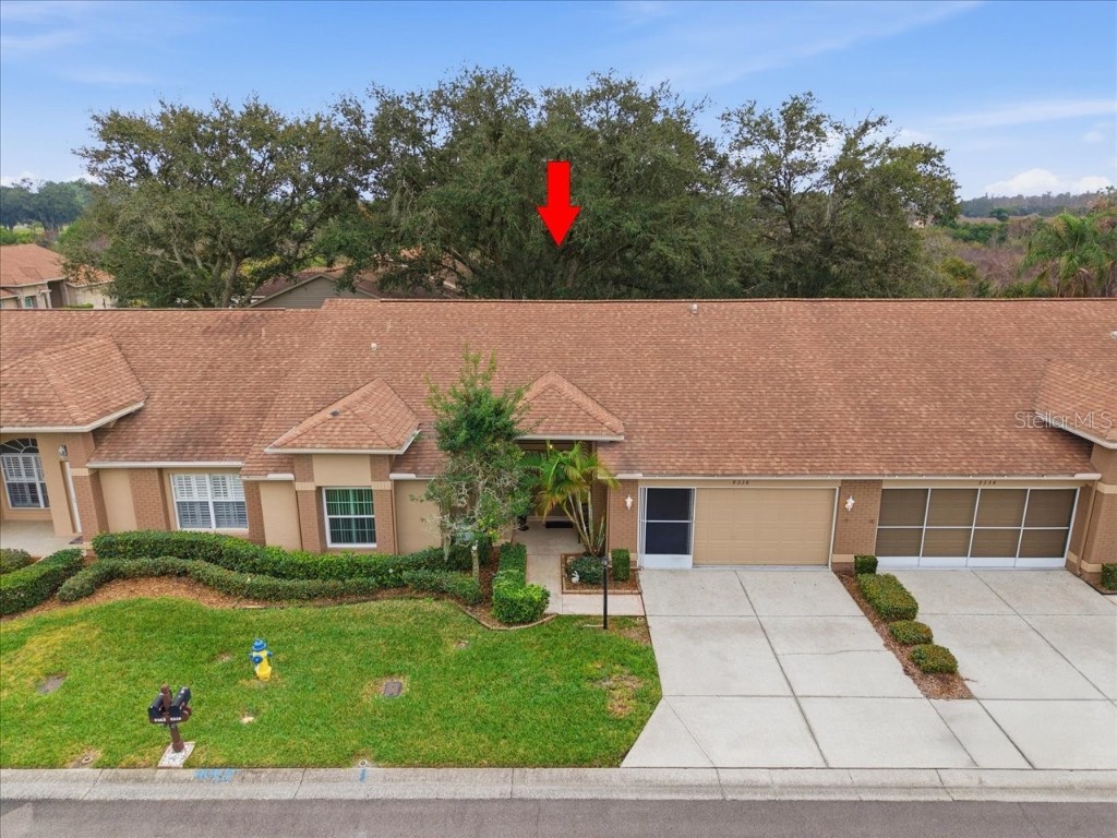 9338 Clearmeadow Lane New Port Richey FL 34655 W7881744 image43