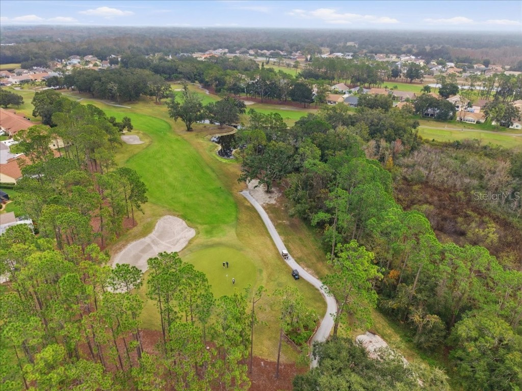 9338 Clearmeadow Lane New Port Richey FL 34655 W7881744 image52