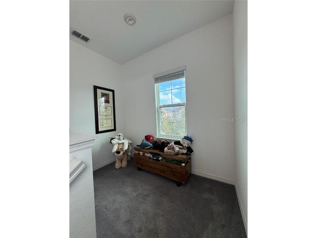 9338 Tyrella Pine Trail Winter Garden FL 34787 O6349881 image12