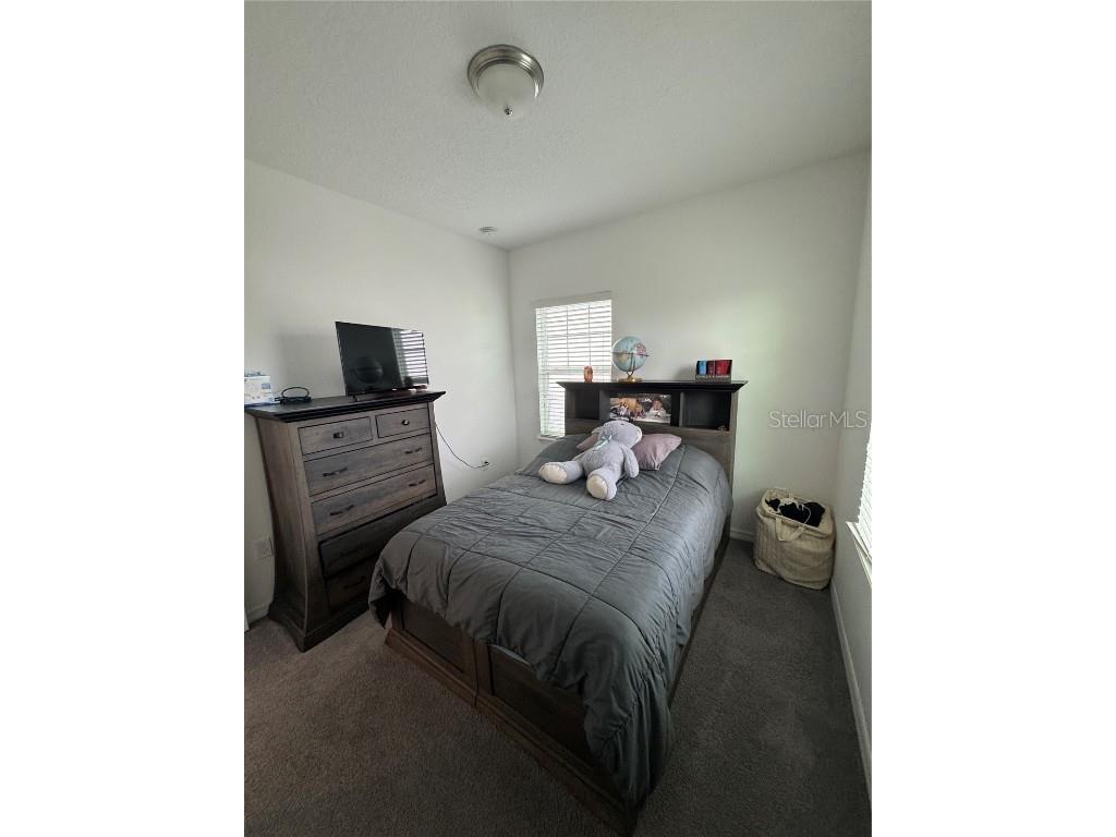 9338 Tyrella Pine Trail Winter Garden FL 34787 O6349881 image14