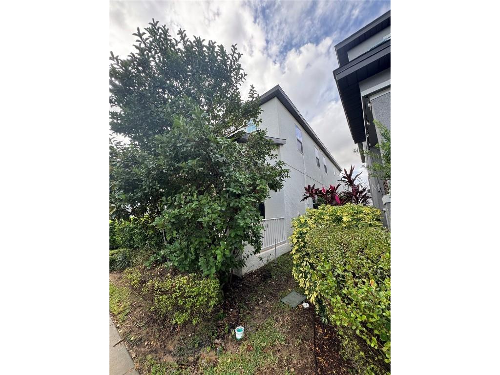 9338 Tyrella Pine Trail Winter Garden FL 34787 O6349881 image21