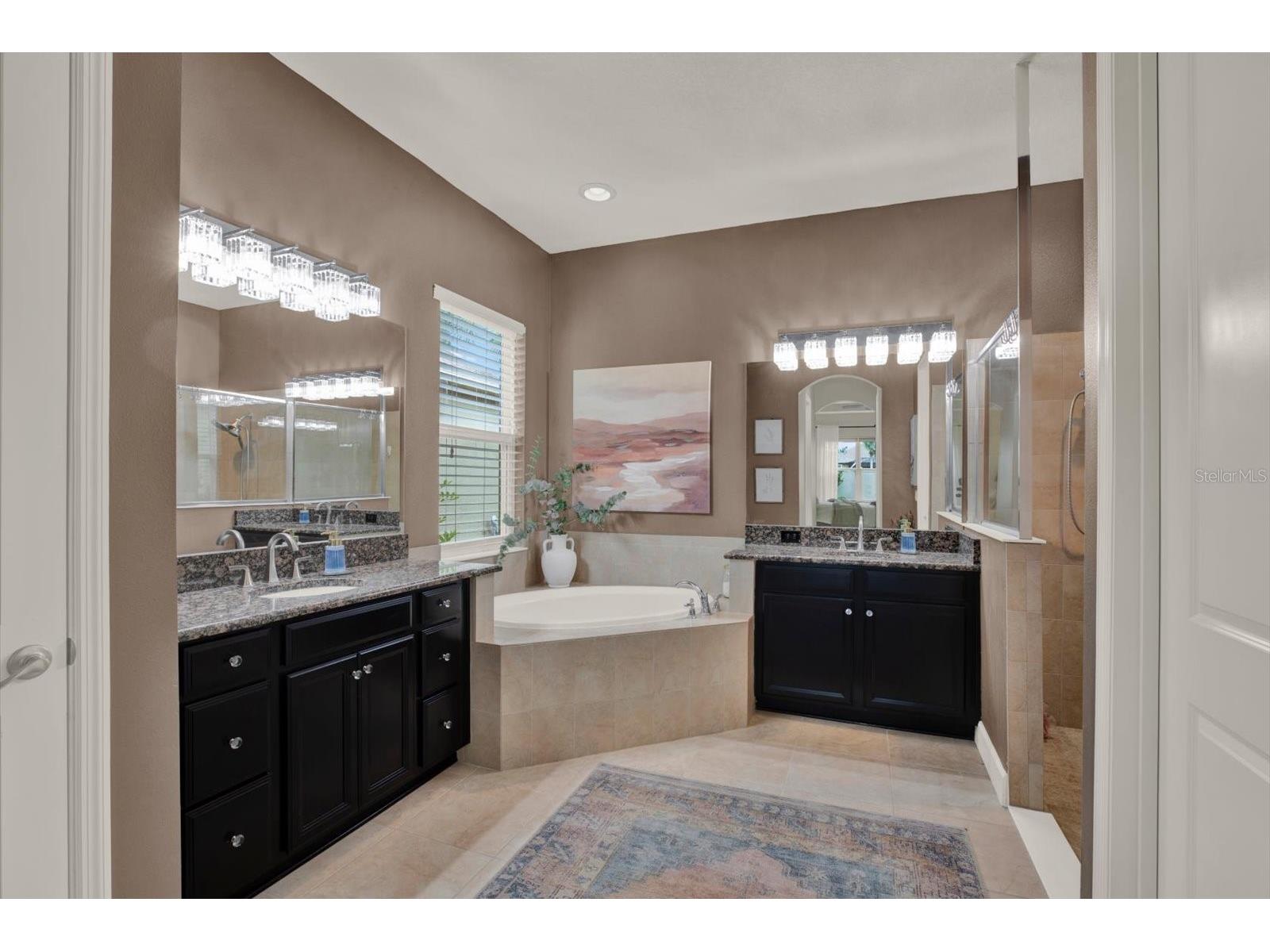 9339 Bella Vita Circle Land O Lakes FL 34637 TB8506953 image29
