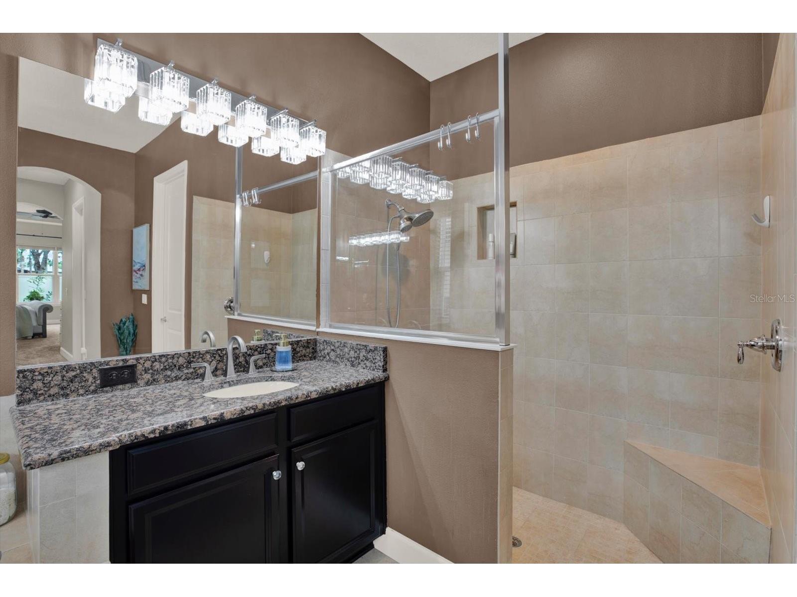 9339 Bella Vita Circle Land O Lakes FL 34637 TB8506953 image30