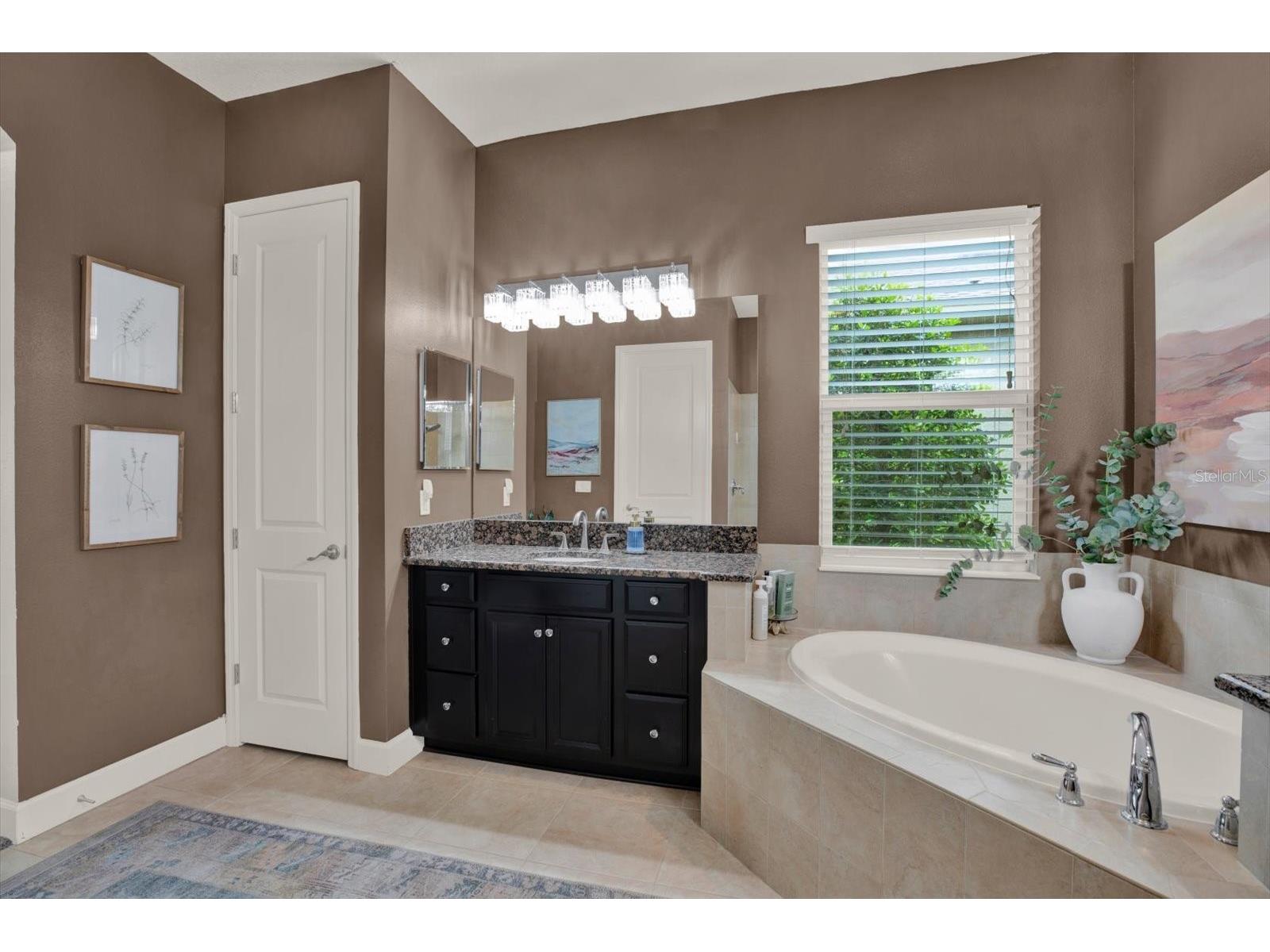 9339 Bella Vita Circle Land O Lakes FL 34637 TB8506953 image31