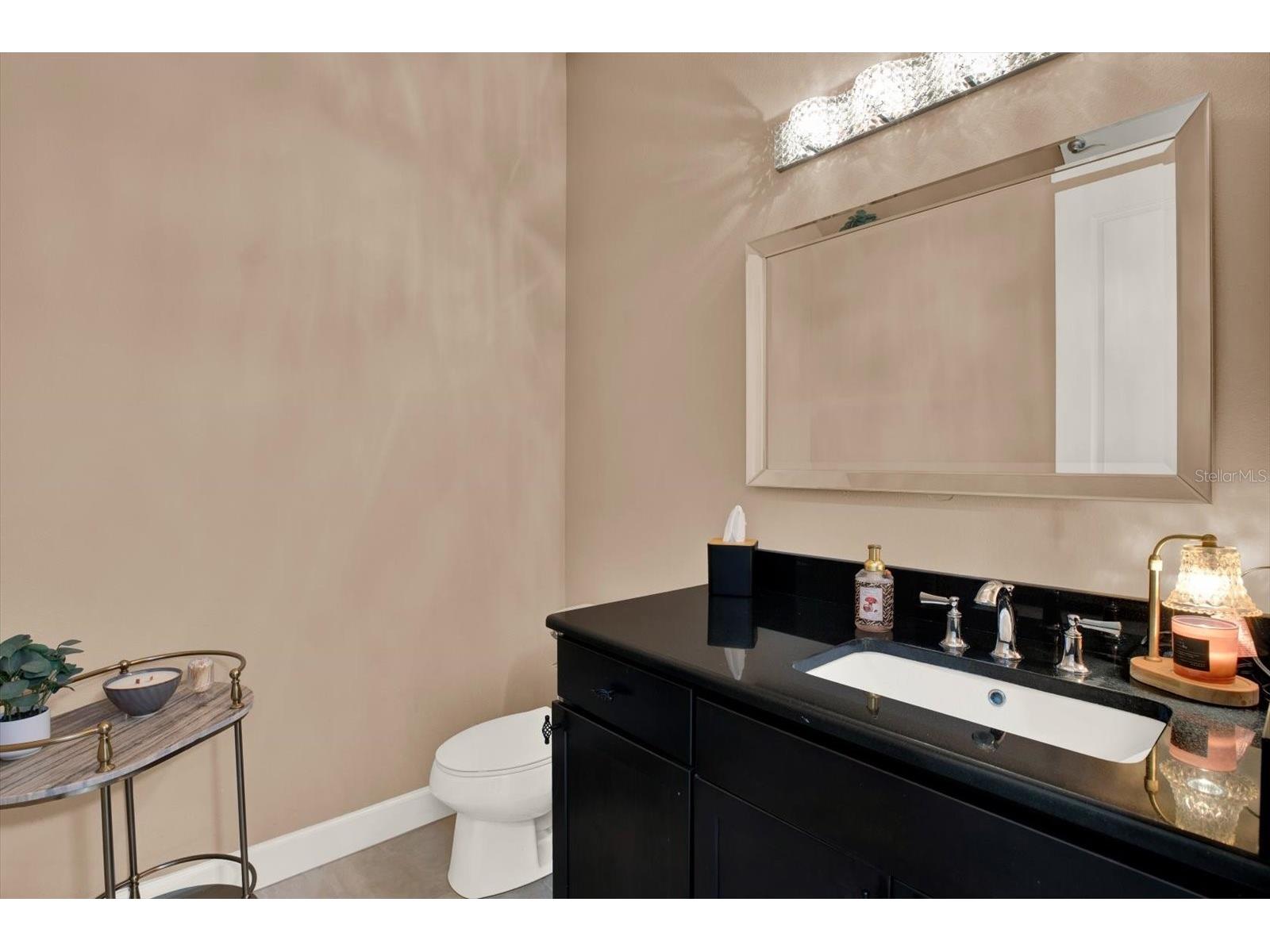 9339 Bella Vita Circle Land O Lakes FL 34637 TB8506953 image34