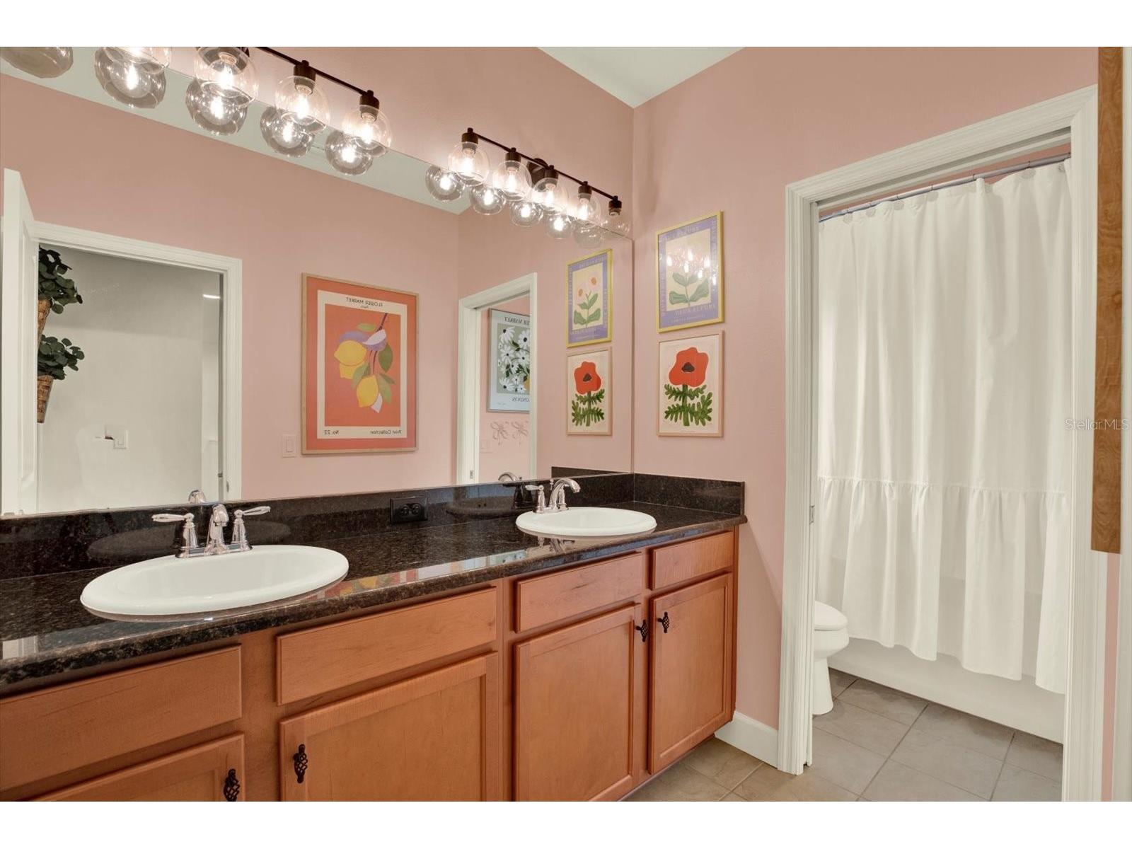 9339 Bella Vita Circle Land O Lakes FL 34637 TB8506953 image45