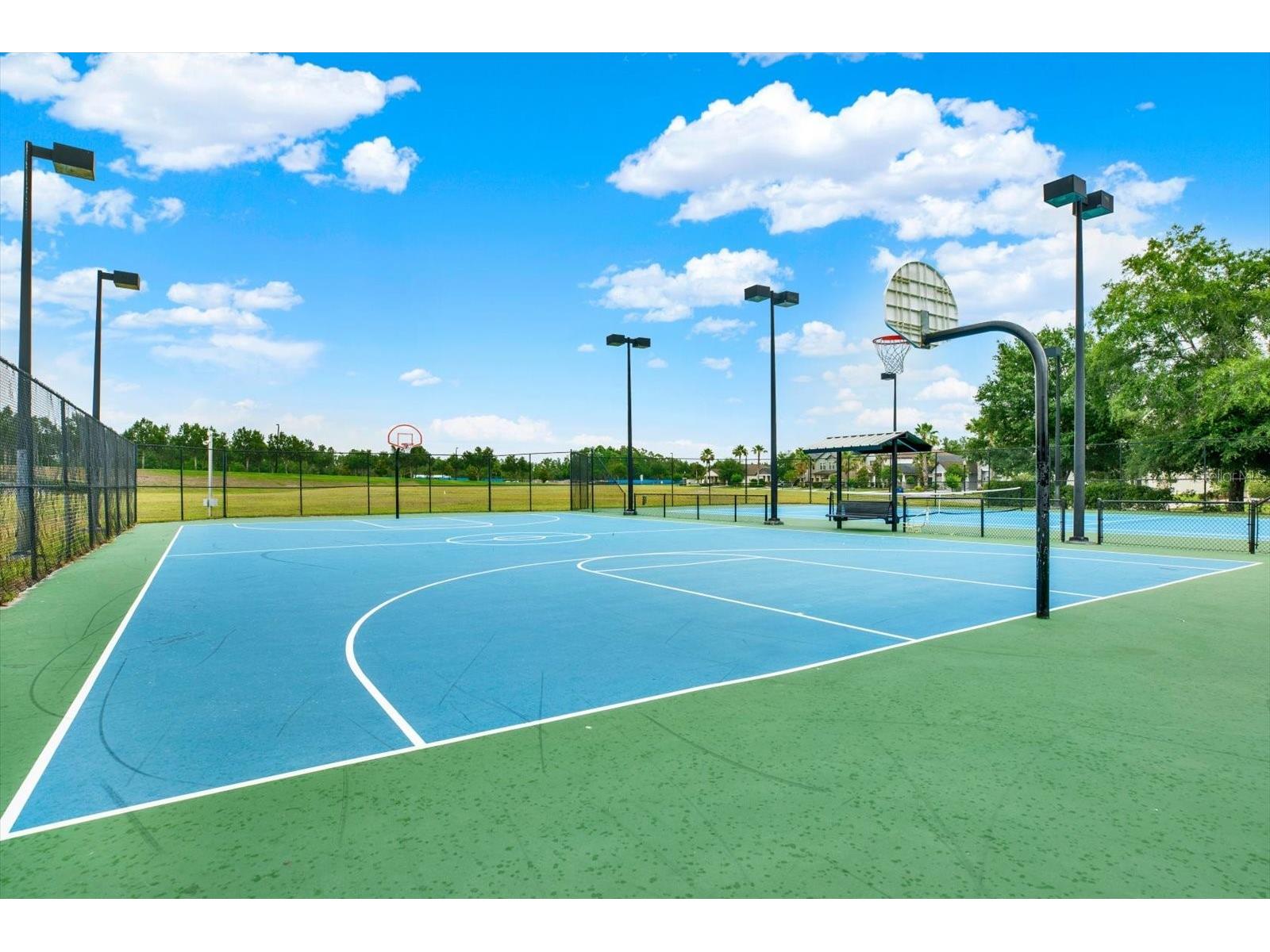 9339 Bella Vita Circle Land O Lakes FL 34637 TB8506953 image69