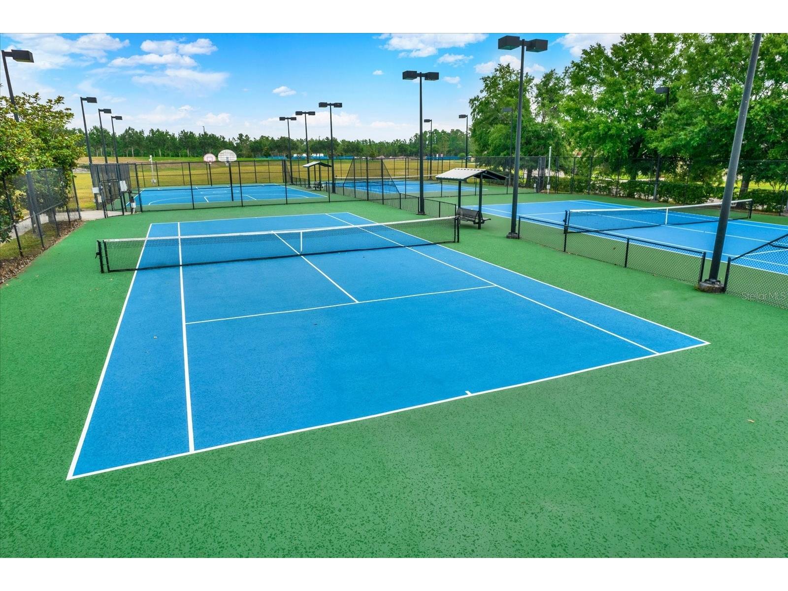 9339 Bella Vita Circle Land O Lakes FL 34637 TB8506953 image70