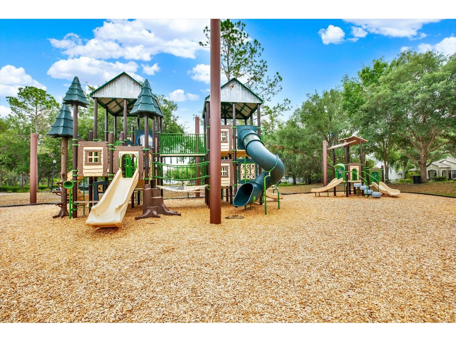 9339 Bella Vita Circle Land O Lakes FL 34637 TB8506953 image78