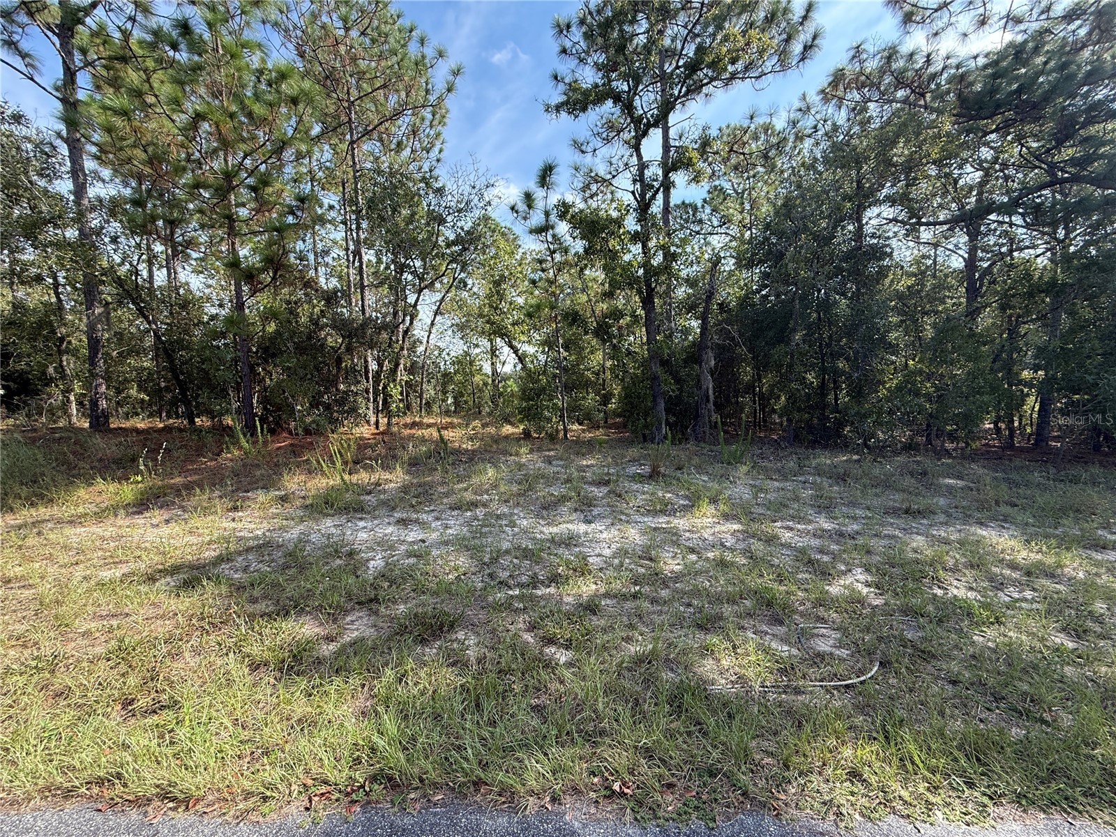 9339 N Milam Way Citrus Springs FL 34434 W7878962 image2