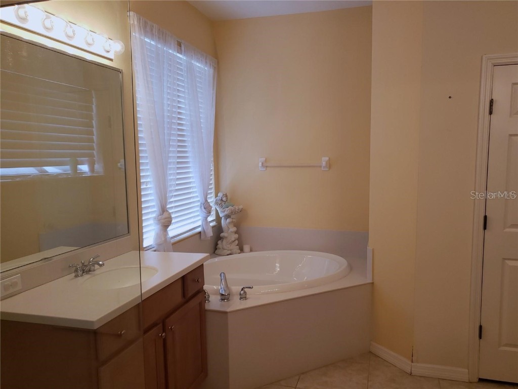 9339 Raes Creek Place Palmetto FL 34221 A4673502 image9