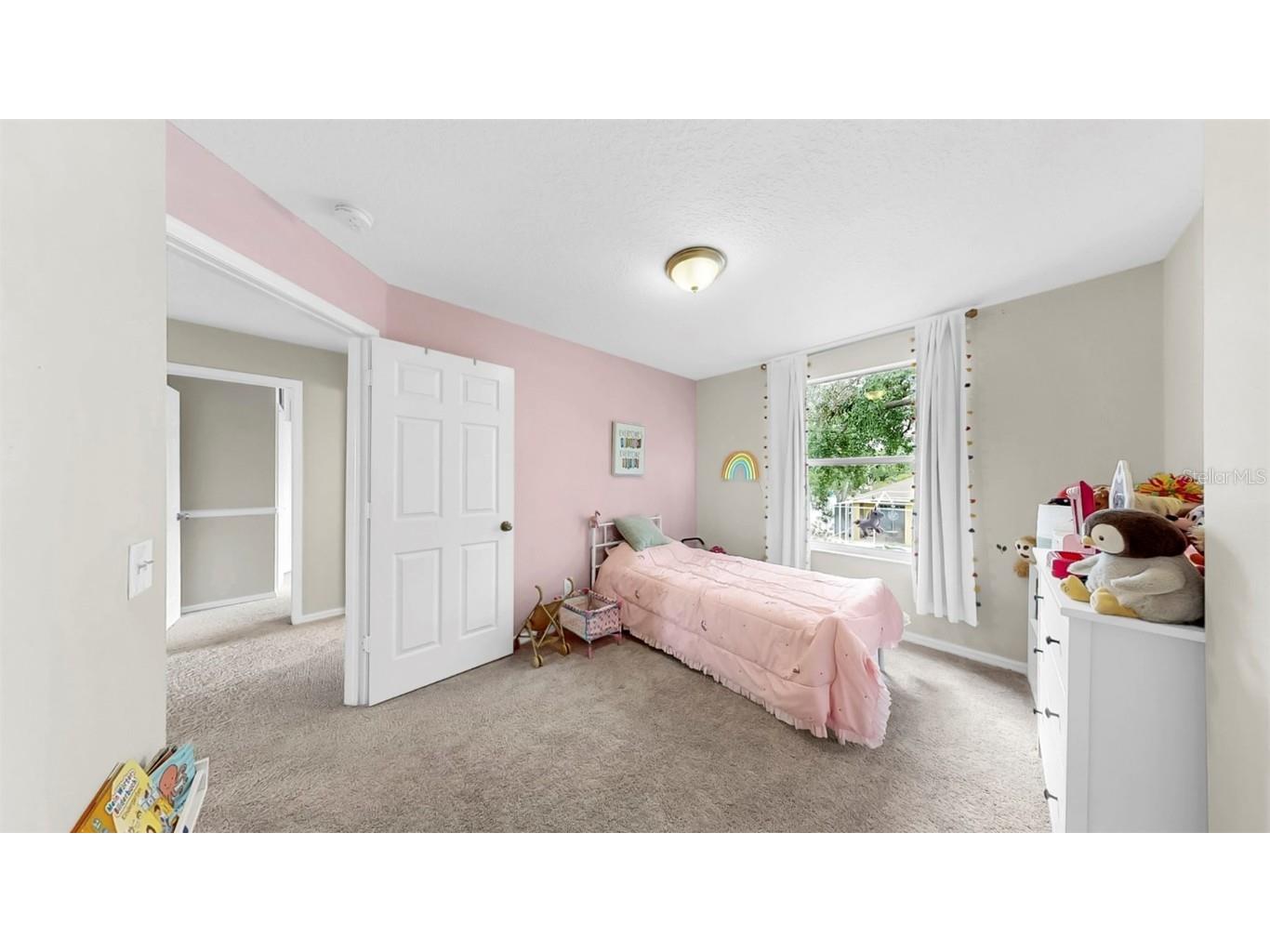 934 Grand Canyon Drive Valrico FL 33594 TB8366285 image21