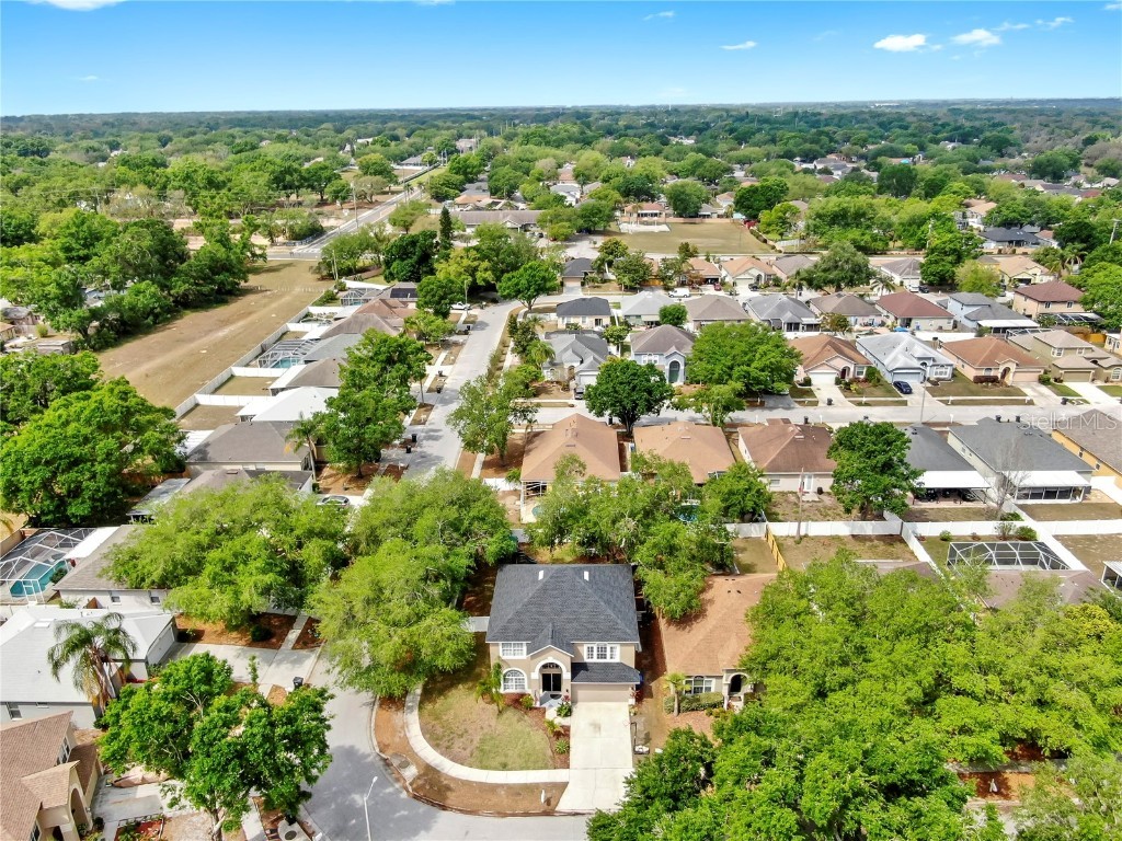 934 Grand Canyon Drive Valrico FL 33594 TB8366285 image4