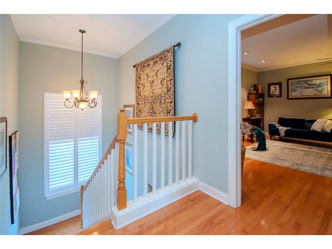 934 Harbour Bay Drive Tampa FL 33602 TB8437742 image13