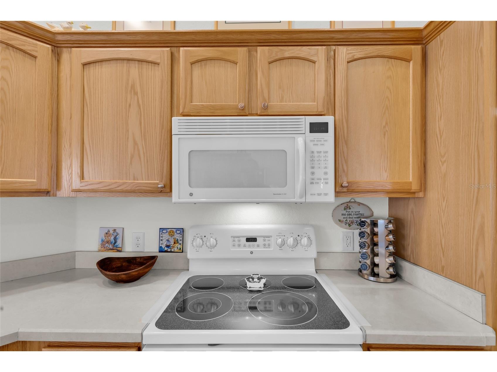 934 Moses Loop The Villages FL 32162 G5112121 image19