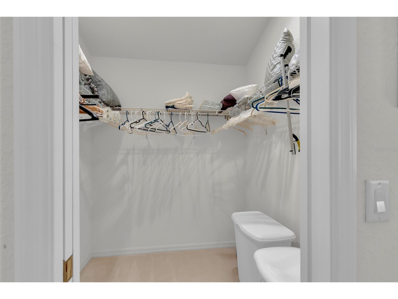 934 Moses Loop The Villages FL 32162 G5112121 image32