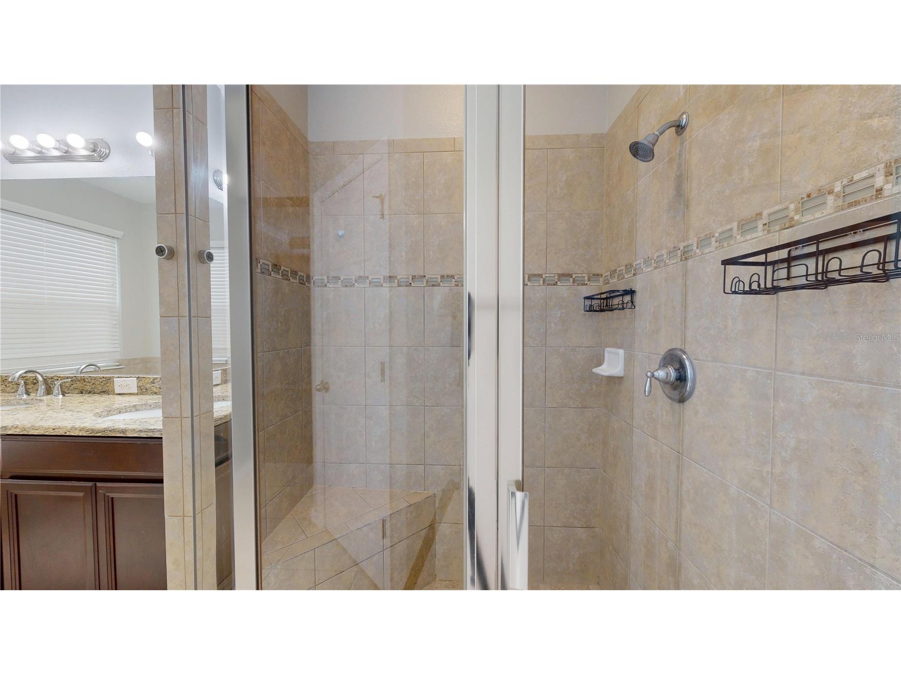 9344 Bella Vita Circle Land O Lakes FL 34637 TB8514642 image35