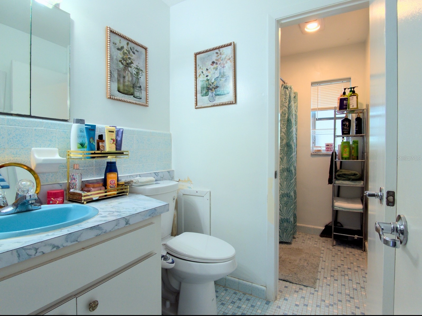 9344 Horizon Drive Spring Hill FL 34608 TB8457708 image12