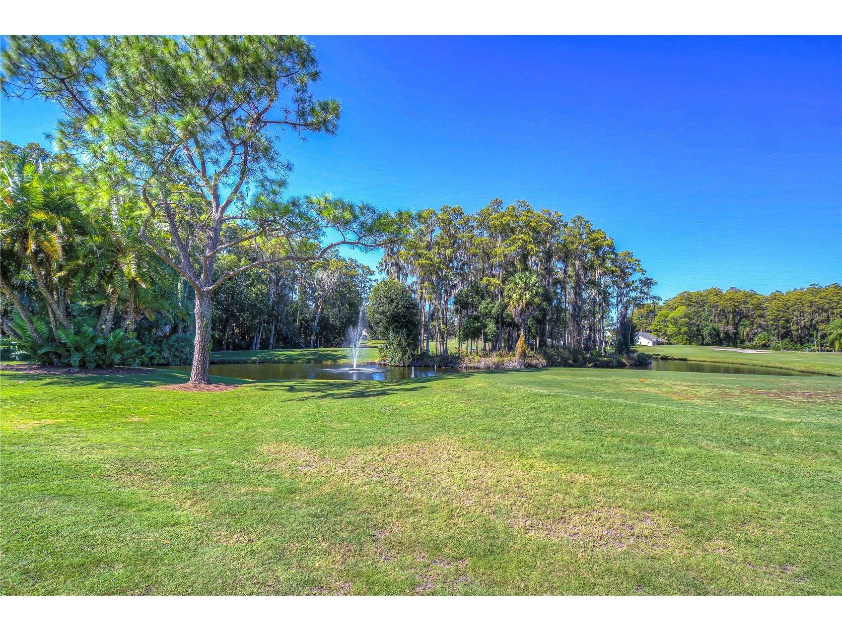 9344 Links Lane #9344 New Port Richey FL 34655 W7879565 image55