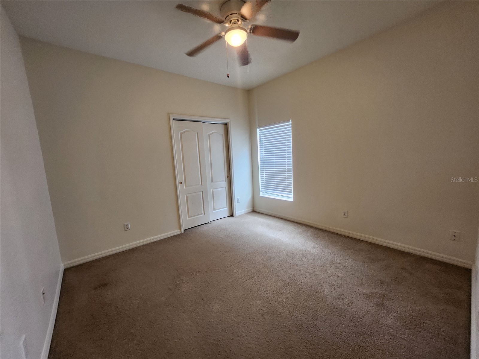 9344 Mandrake Court Tampa FL 33647 TB8529514 image13