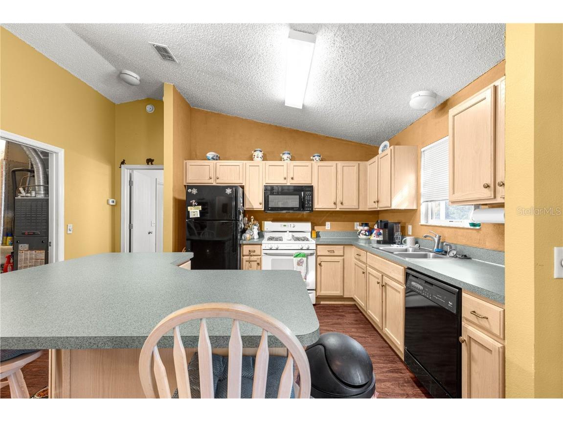 9345 SE 177 Simons Lane The Villages FL 32162 OM709841 image14