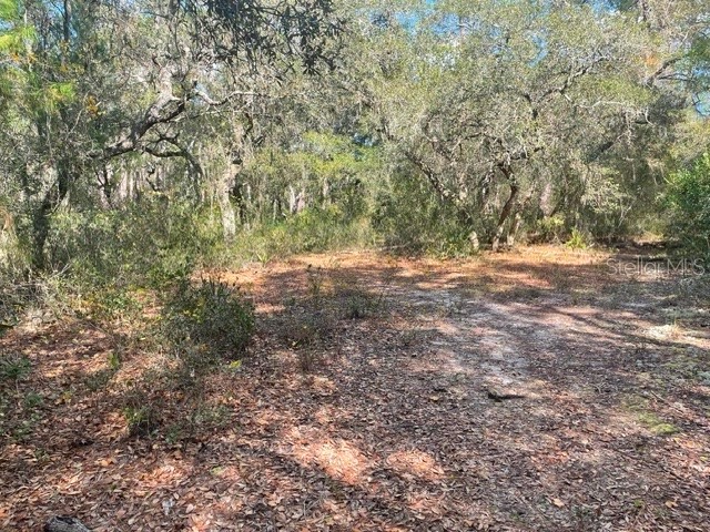 9345 SE 195th Avenue Ocklawaha FL 32179 TB8507734 image1
