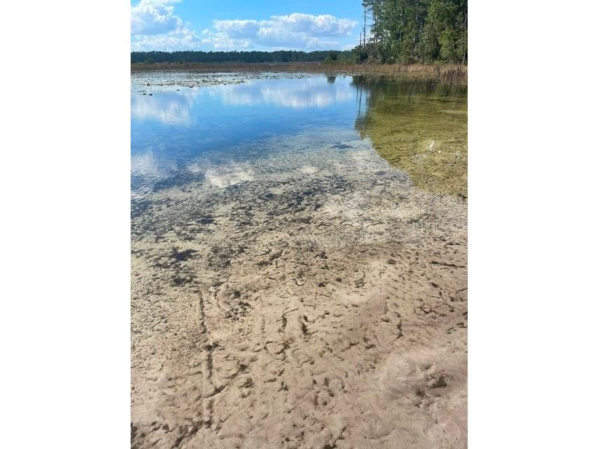 9345 SE 195th Avenue Ocklawaha FL 32179 TB8507734 image11