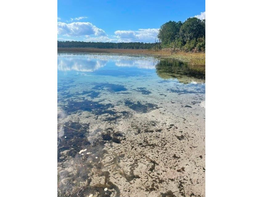 9345 SE 195th Avenue Ocklawaha FL 32179 TB8507734 image12