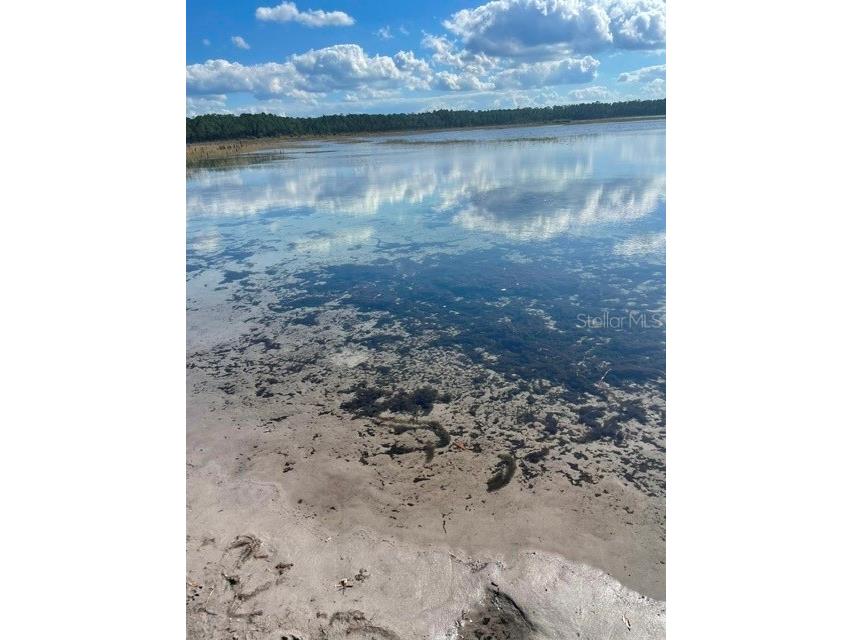 9345 SE 195th Avenue Ocklawaha FL 32179 TB8507734 image14