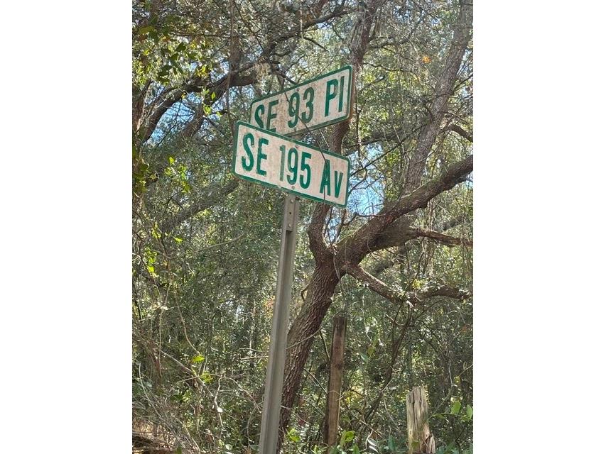 9345 SE 195th Avenue Ocklawaha FL 32179 TB8507734 image2