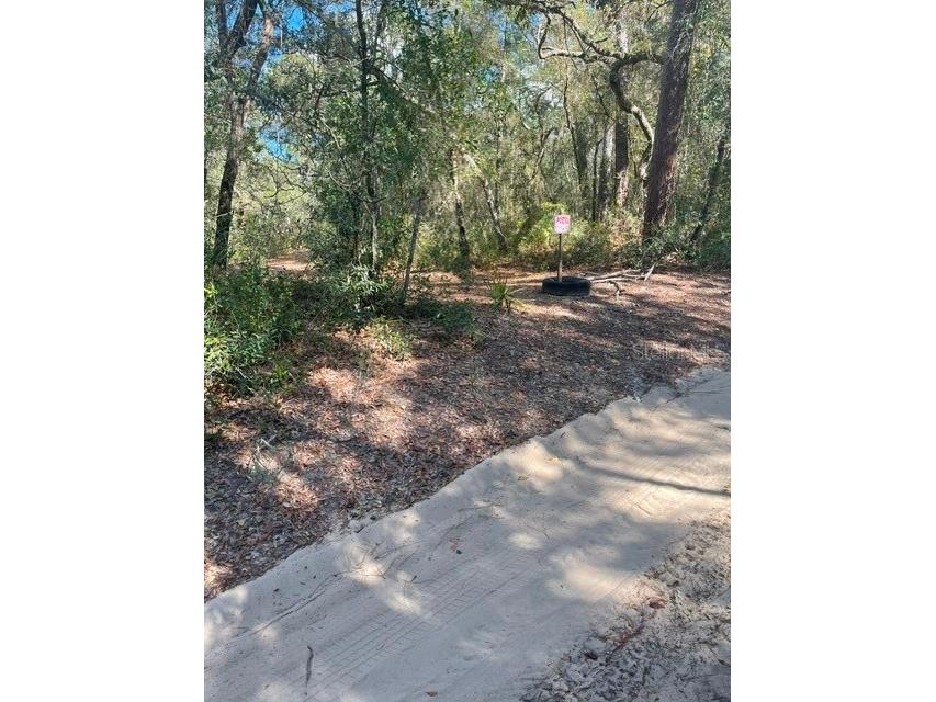 9345 SE 195th Avenue Ocklawaha FL 32179 TB8507734 image5