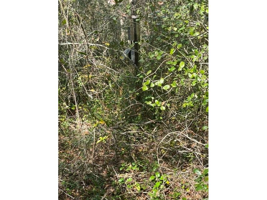 9345 SE 195th Avenue Ocklawaha FL 32179 TB8507734 image9