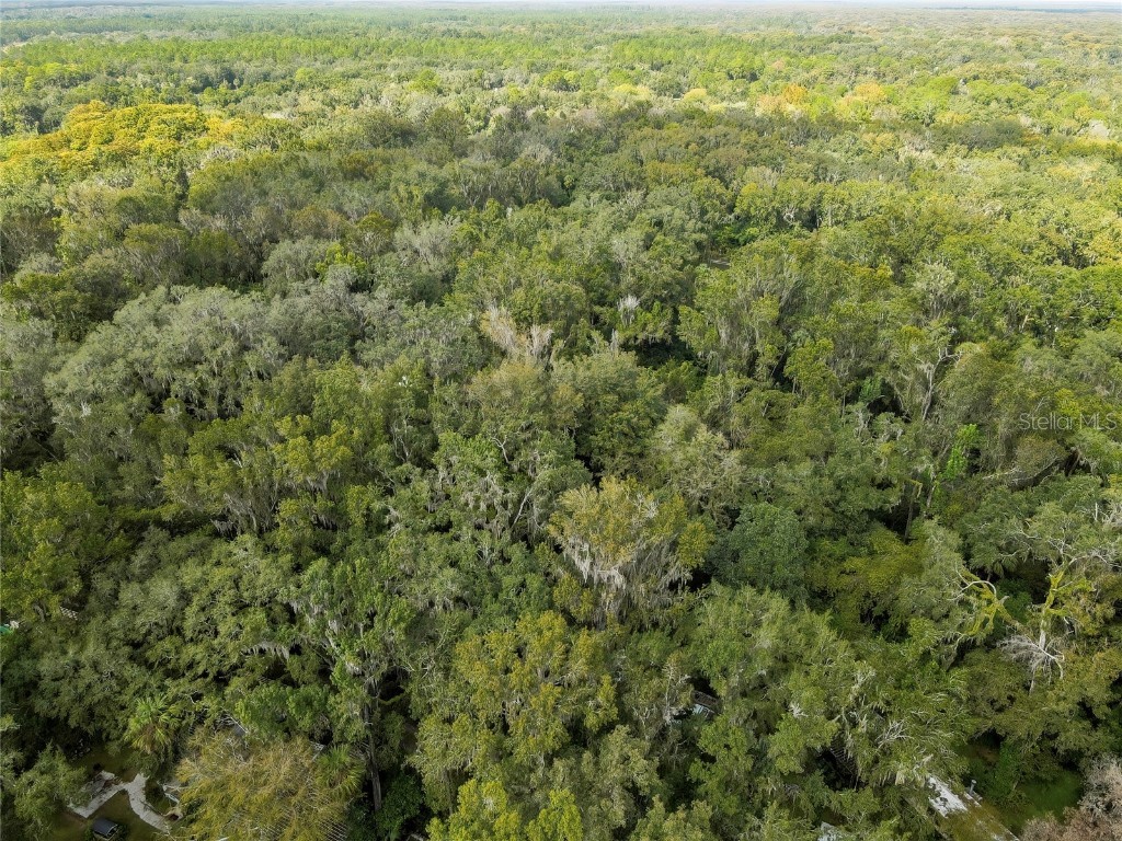 9346 E Sleepy Oak Court Inverness FL 34453 TB8440263 image10