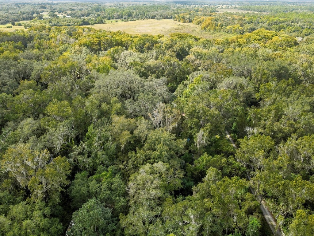 9346 E Sleepy Oak Court Inverness FL 34453 TB8440263 image11