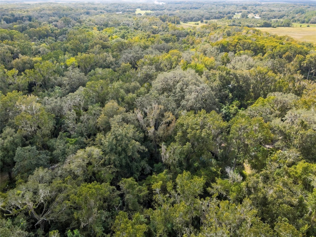 9346 E Sleepy Oak Court Inverness FL 34453 TB8440263 image12