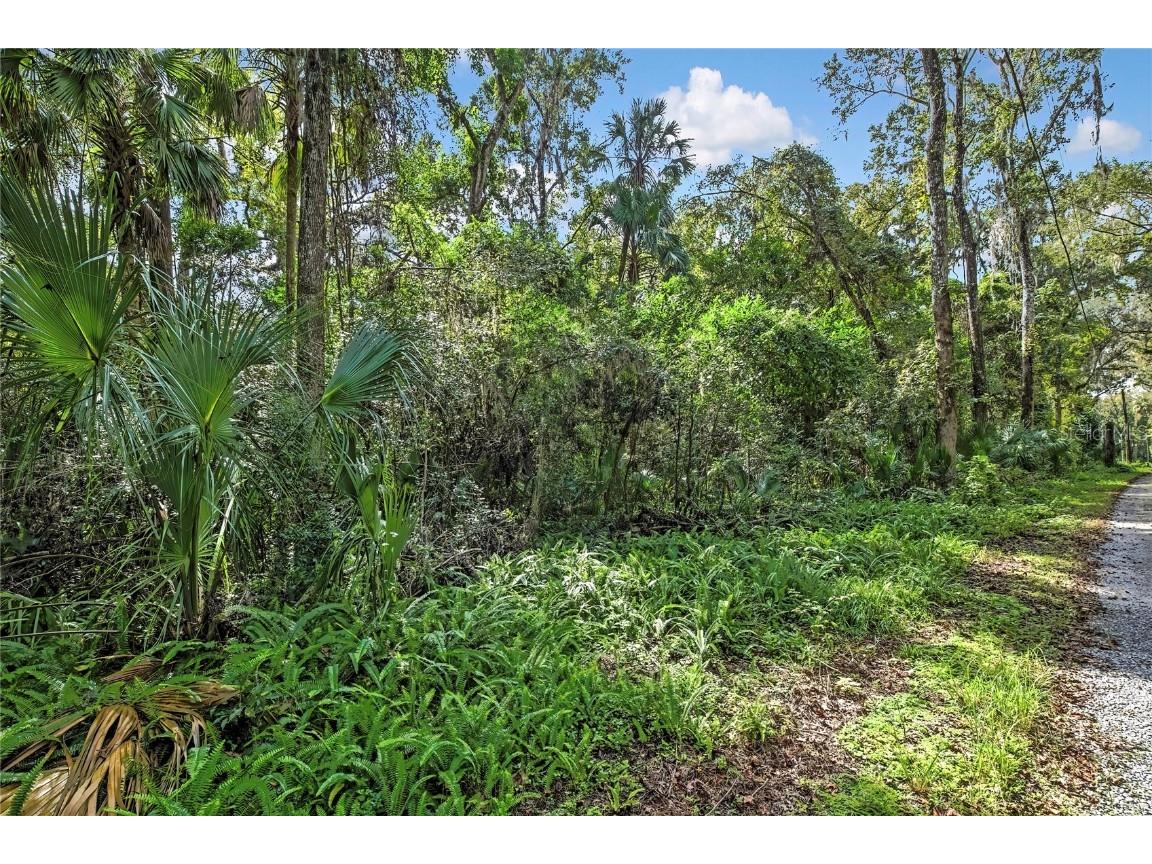 9346 E Sleepy Oak Court Inverness FL 34453 TB8440263 image13