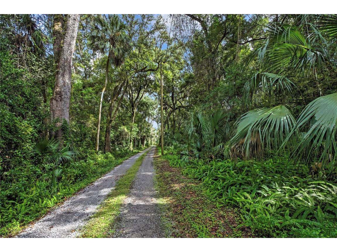 9346 E Sleepy Oak Court Inverness FL 34453 TB8440263 image14